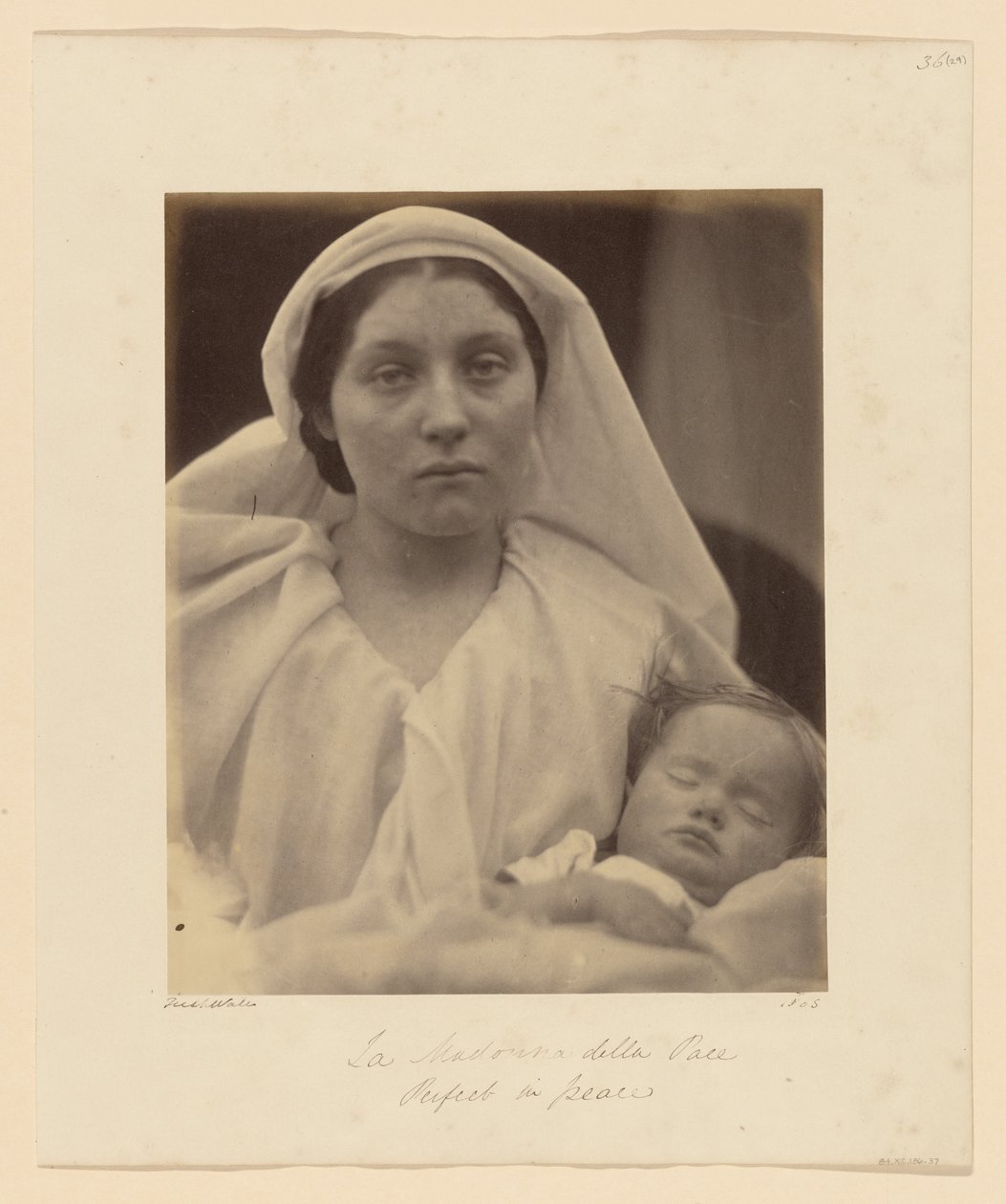 A Béke Szűzanyja alkotó: Julia Margaret Cameron