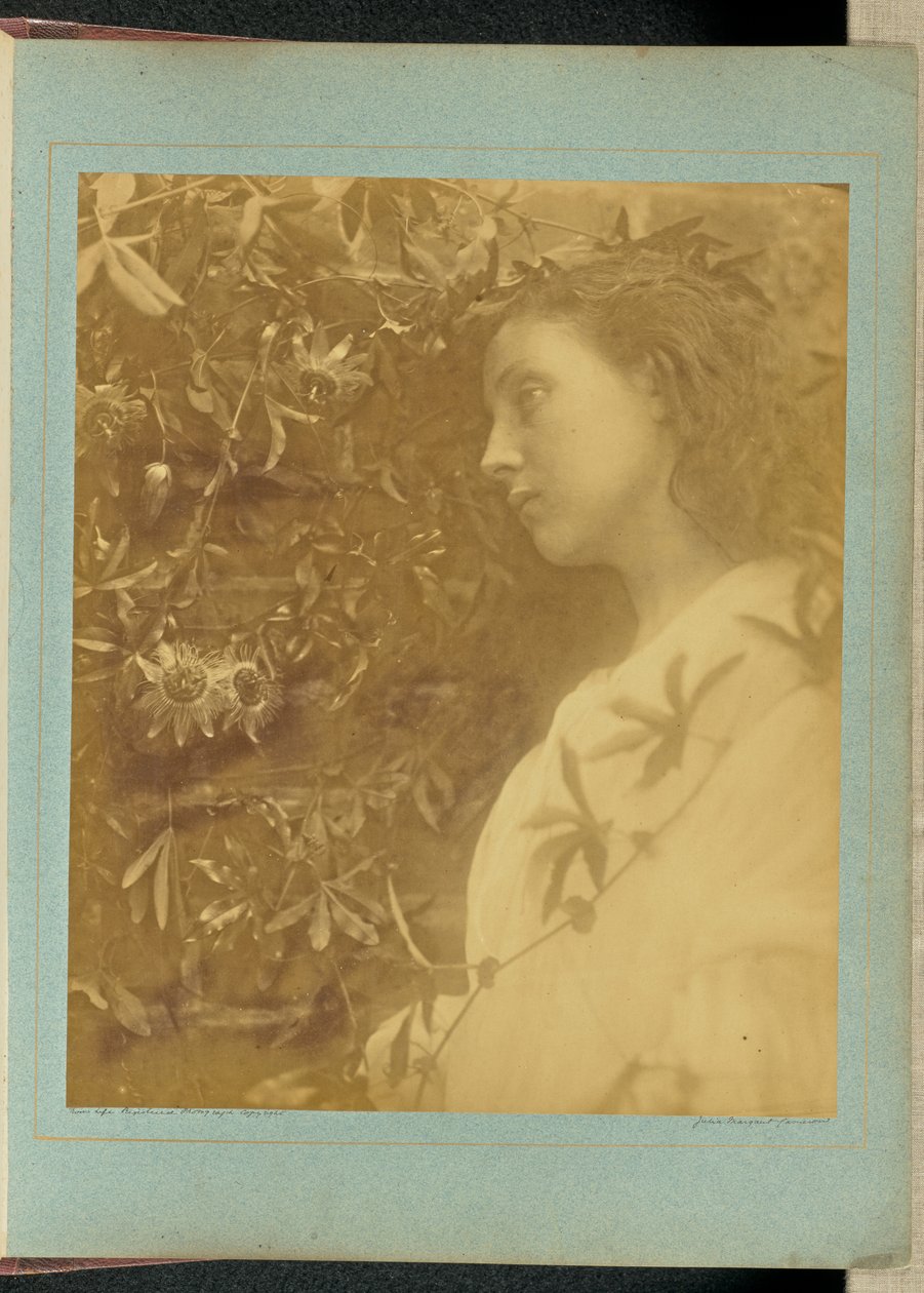 Maud: „Egy csodálatos könnycsepp hullott” / „A kapu melletti szenvedélyvirágból.” alkotó: Julia Margaret Cameron