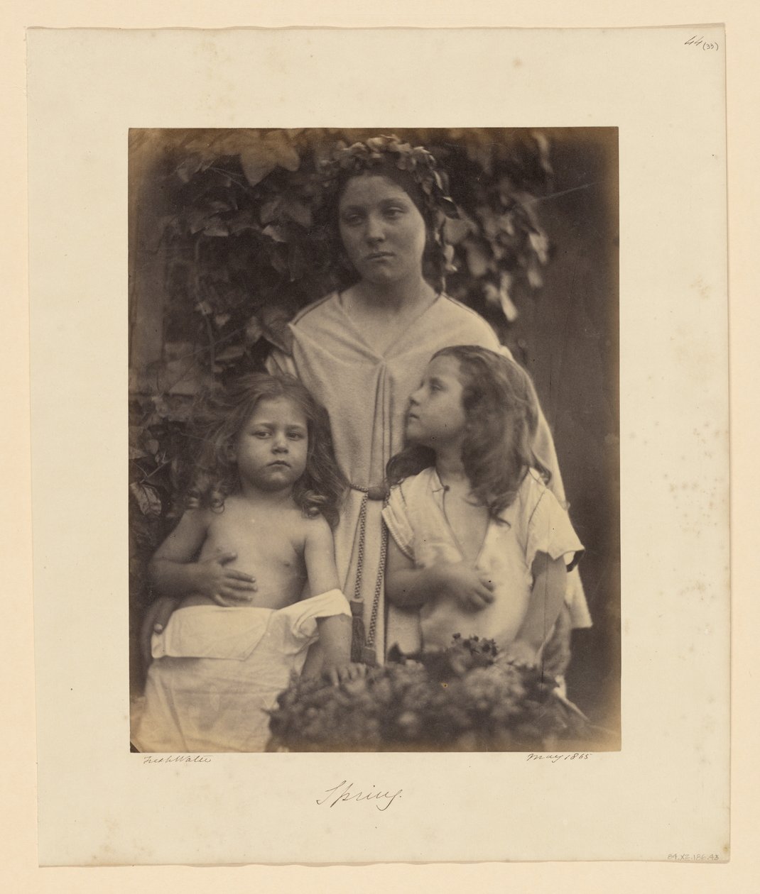 Tavasz alkotó: Julia Margaret Cameron