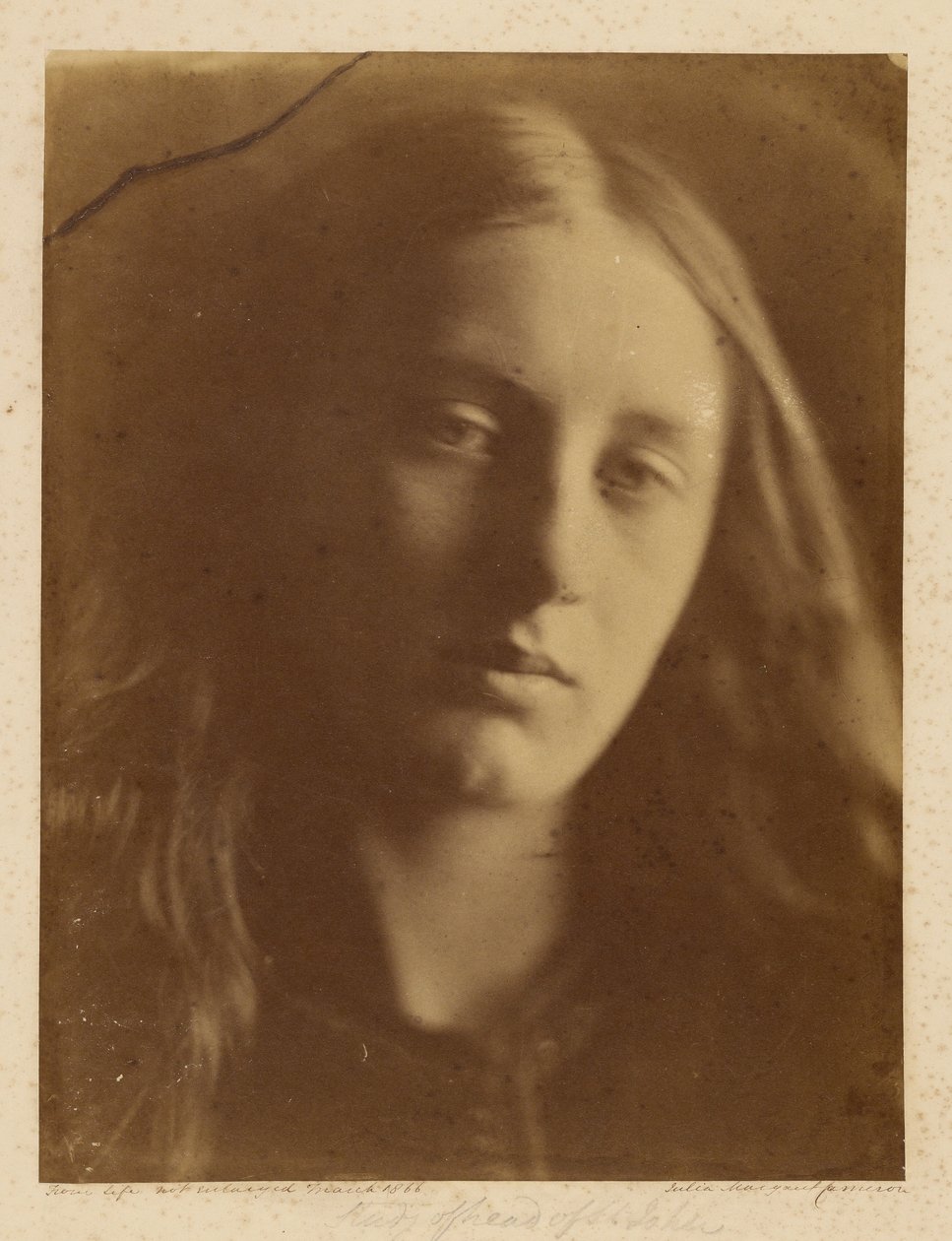 [Szent János fejének tanulmányozása] alkotó: Julia Margaret Cameron