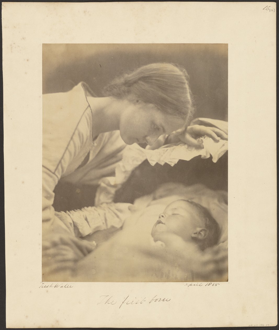 Az elsőszülött alkotó: Julia Margaret Cameron