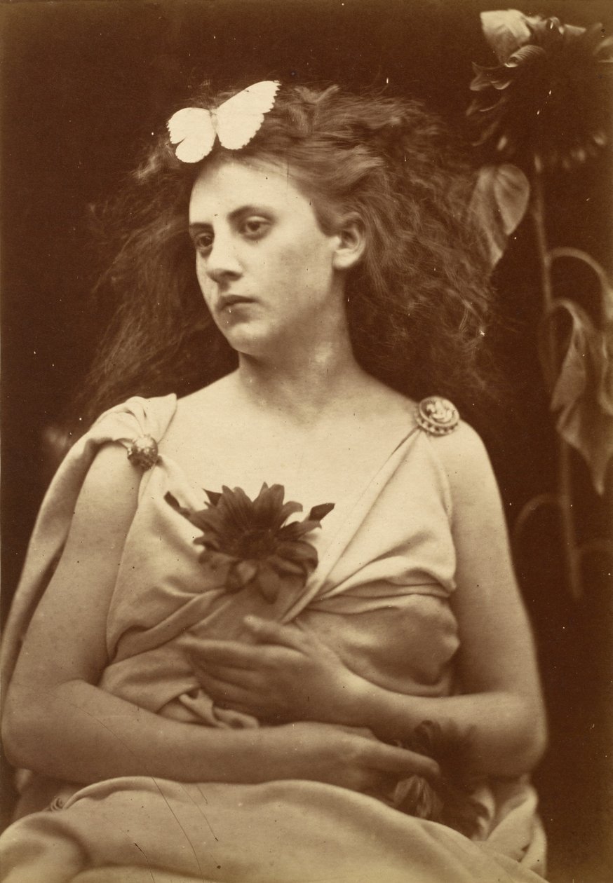 A Napraforgó alkotó: Julia Margaret Cameron