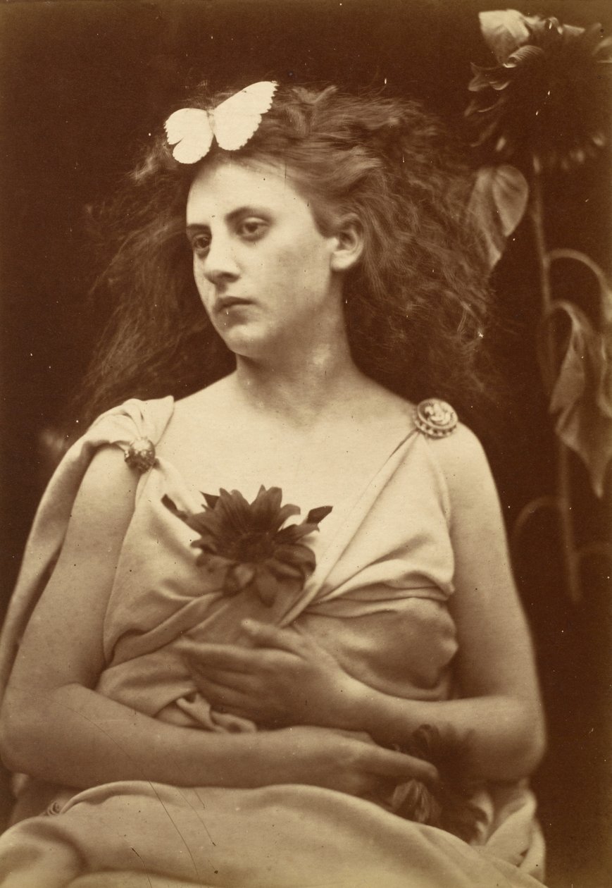 Napraforgó, 1870-es évek eleje. alkotó: Julia Margaret Cameron