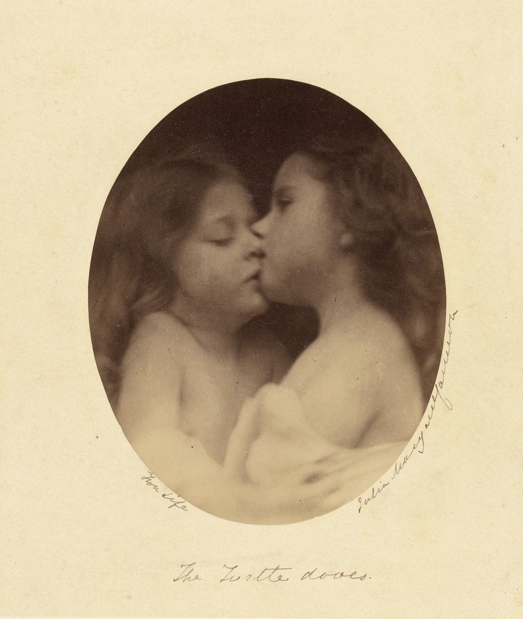 A teknős galambok alkotó: Julia Margaret Cameron