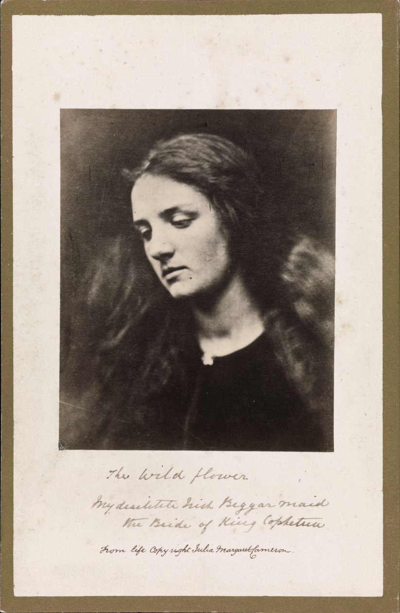 A Vadvirág alkotó: Julia Margaret Cameron