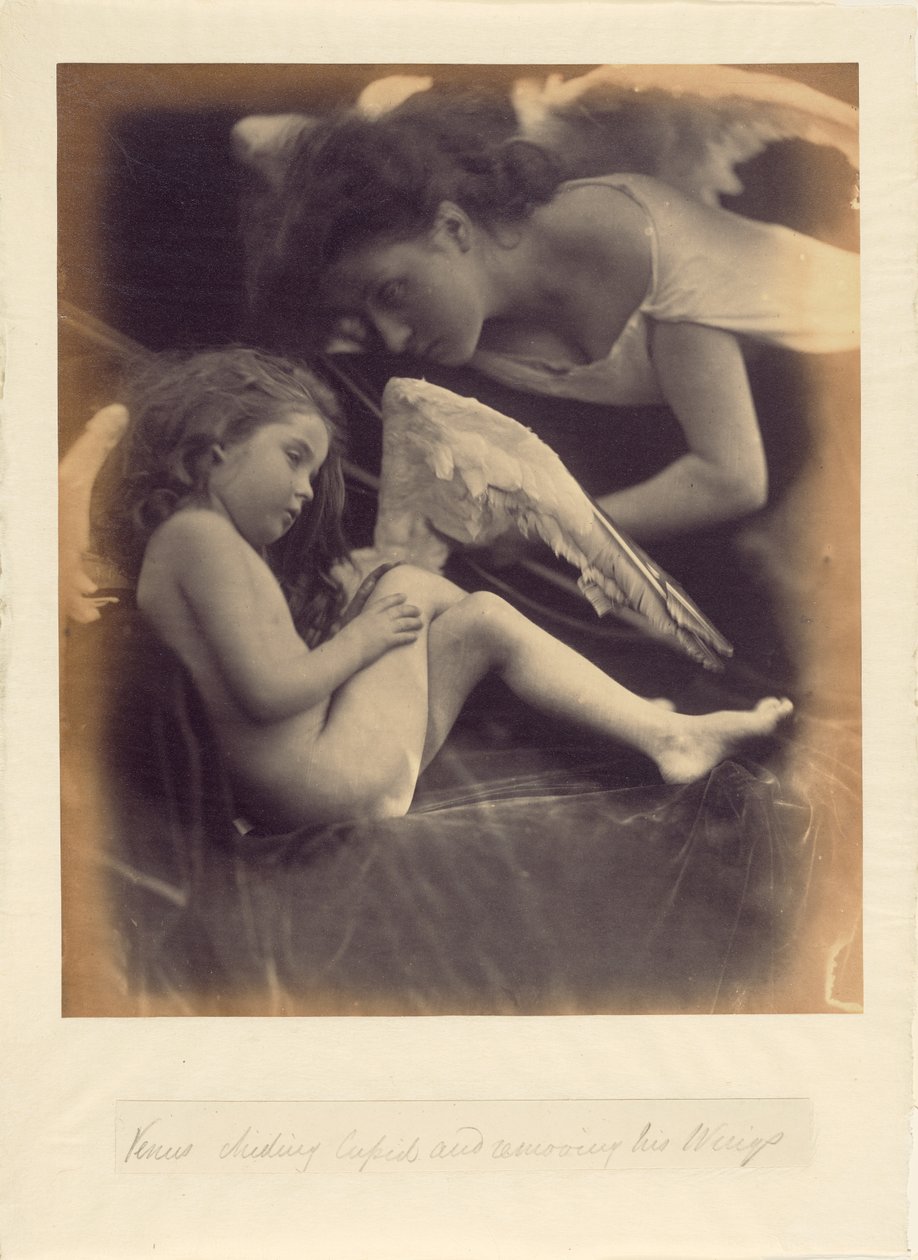 Vénusz szidalmazza Ámort és eltávolítja szárnyait alkotó: Julia Margaret Cameron
