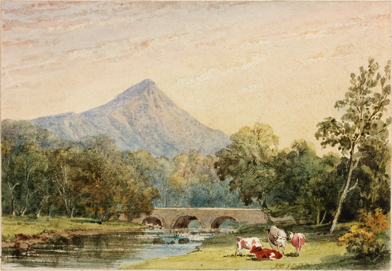 Sugarloaf Hill Tynnahinchből (wc papíron (kártyára ragasztva)) alkotó: Julia Swinburne