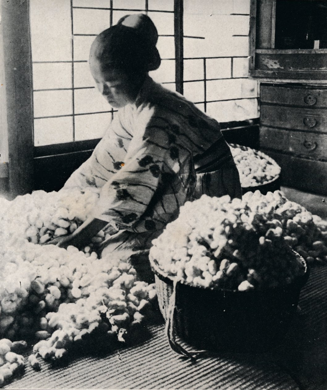 5000 selyemhernyó 125 font eperfát eszik meg 8 gombolyag selyemért, így készít egy kimonót, c1900, 1921 alkotó: Julian Leonard Street