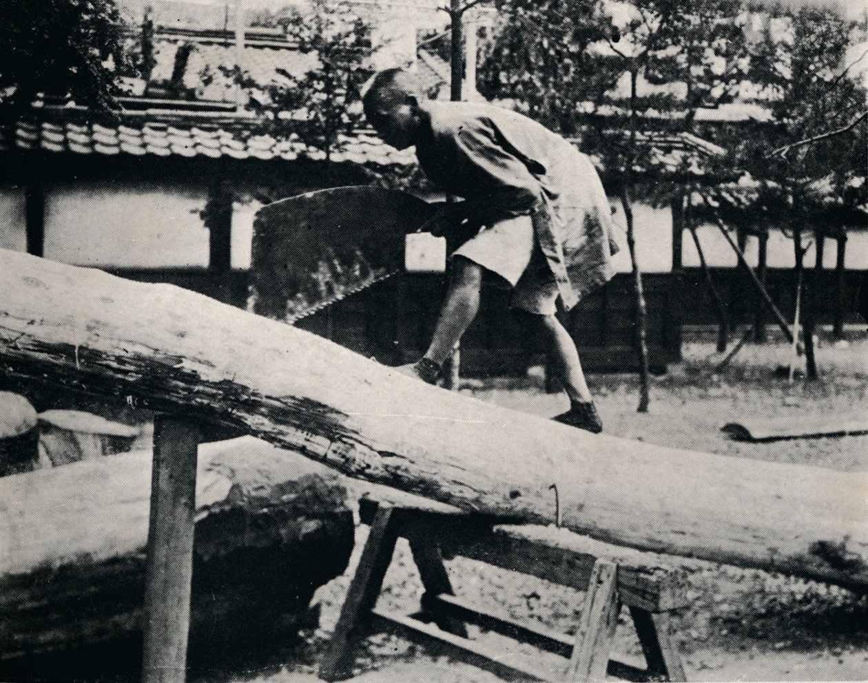 A fűrészelés és gyalulás menetmozgás helyett húzással történik, c1900, 1921 alkotó: Julian Leonard Street