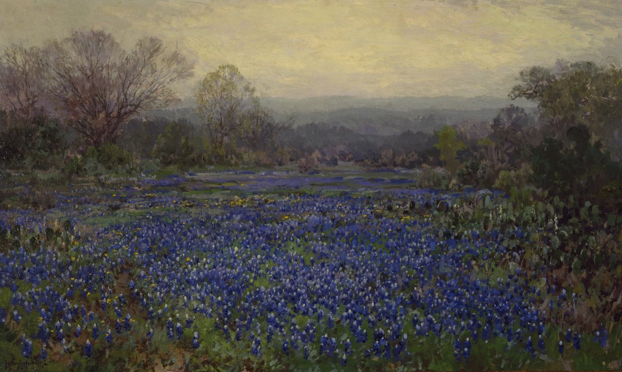 Untitled - Field of Bluebonnets (olaj, vászon) alkotó: Julian Onderdonk