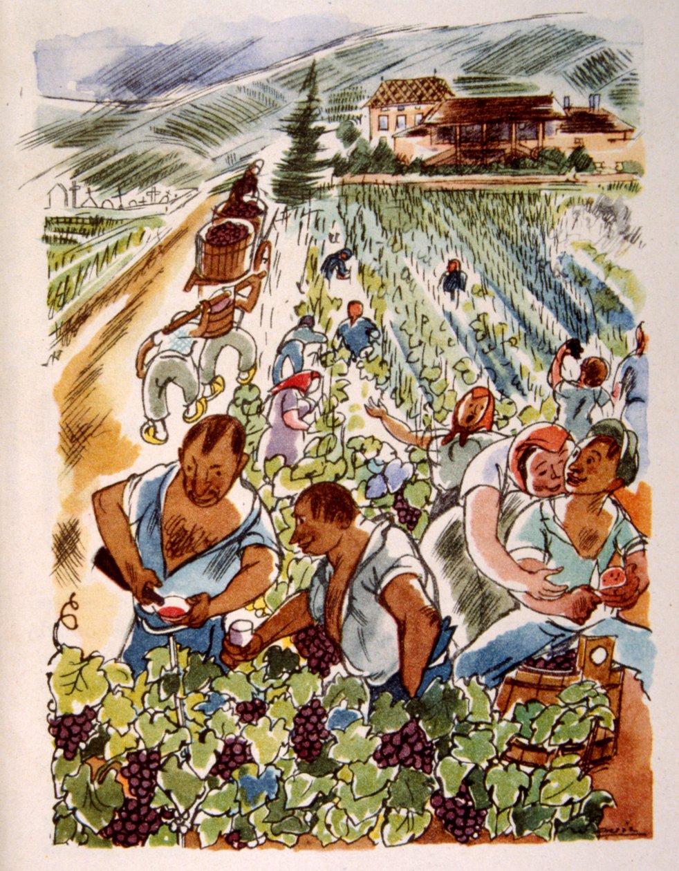 Francia Szőlőbirtok. 1944. Illusztráció: Julien Pavil alkotó: Julien Pavil