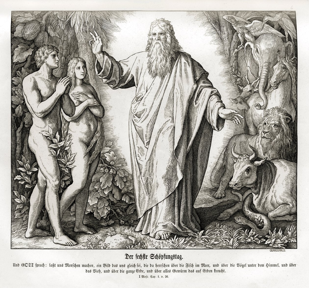 A teremtés hatodik napja, Genezis alkotó: Julius Schnorr von Carolsfeld