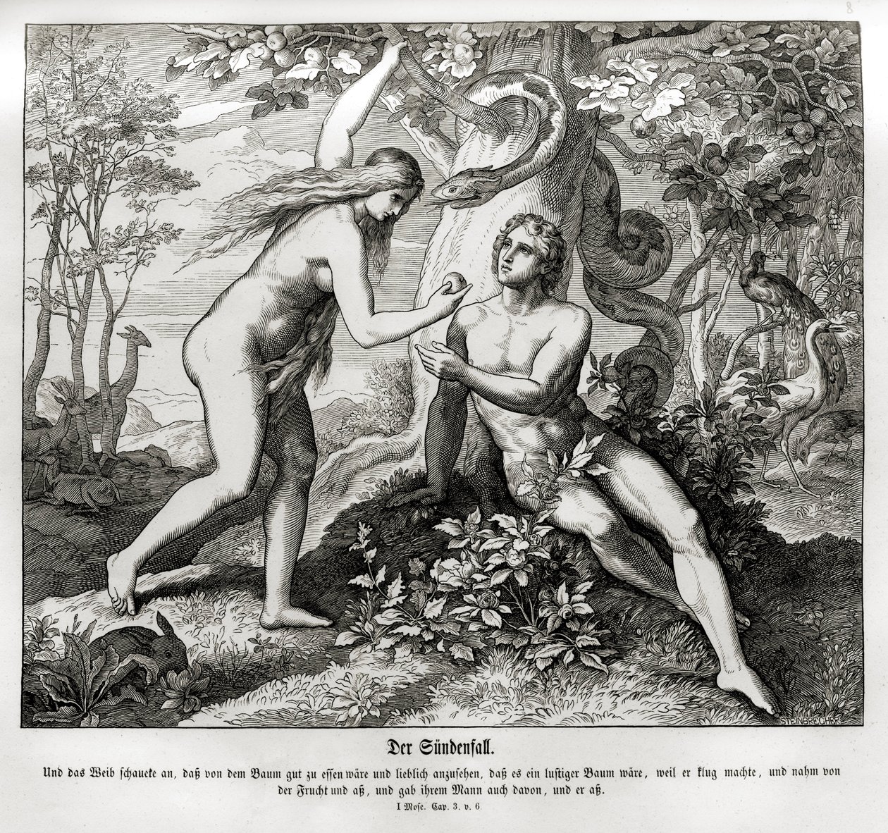 A bukás, Genesis alkotó: Julius Schnorr von Carolsfeld