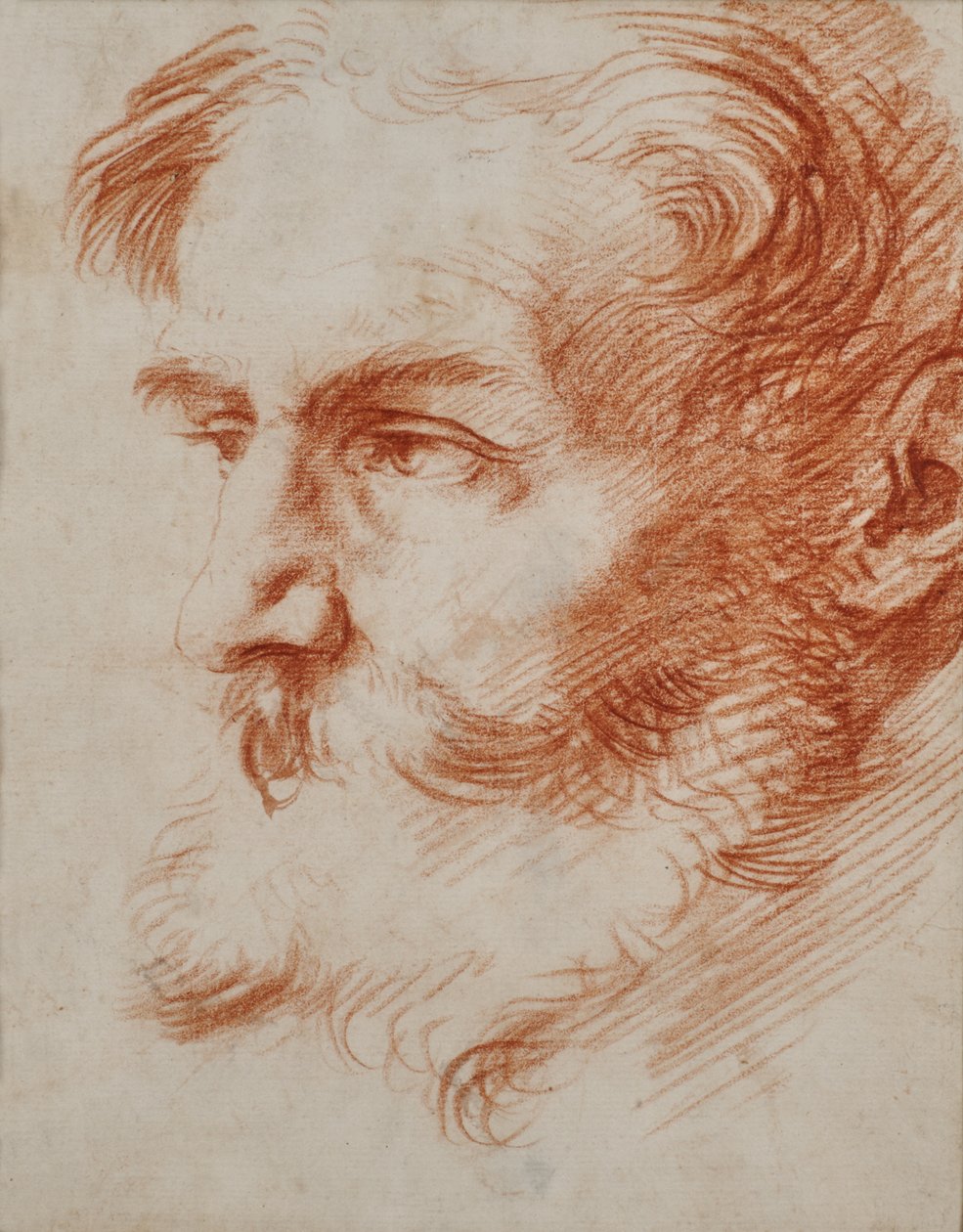 Szakállas férfi feje alkotó: Jusepe de Ribera