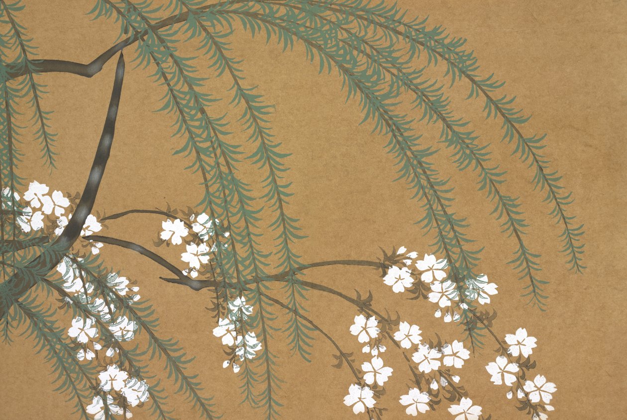 Sakura Yanagi, a omoyogusától alkotó: Kamisaka Sekka