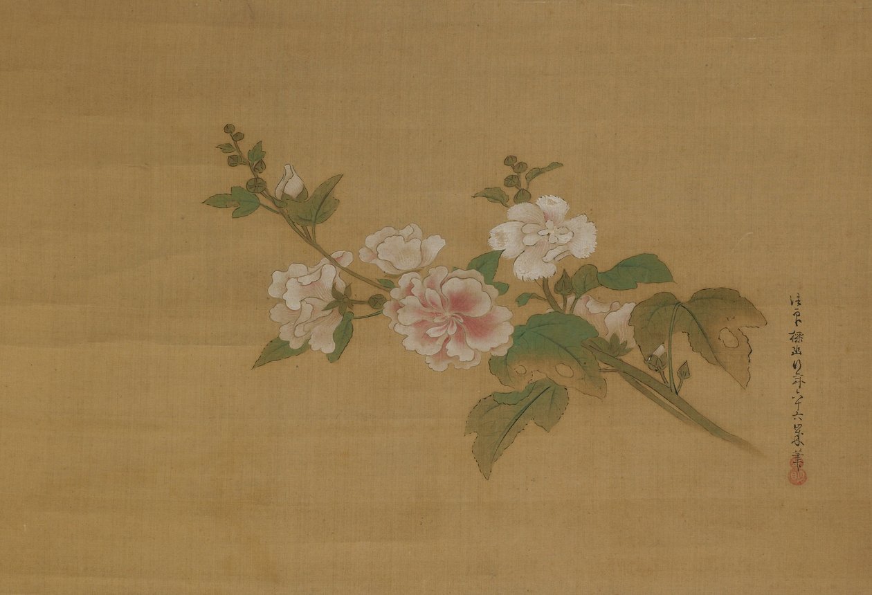 Virágzó hibiszkusz ága, Edo-korszak (színes selyem) alkotó: Kanō Tan’yū
