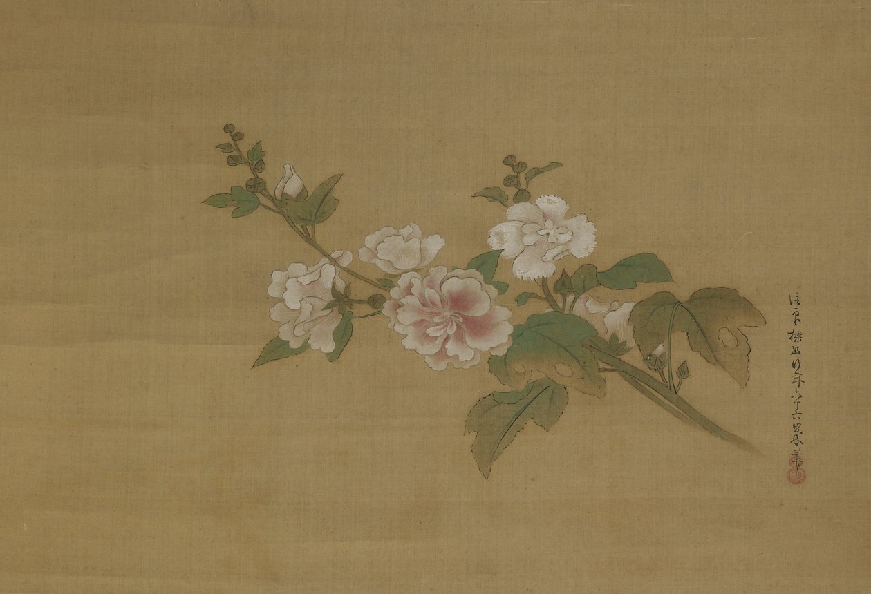 Virágzó hibiszkusz ága, Edo Period (szín a selyemen) alkotó: Kano Tanyu