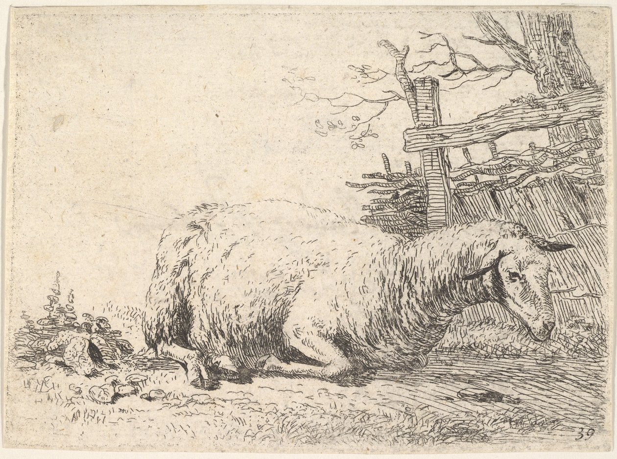 Egy fakerítés mellett a teste alatt összekulcsolt lábakkal fekvő bárány, a she..., kb. 1655. alkotó: Karel Du Jardin