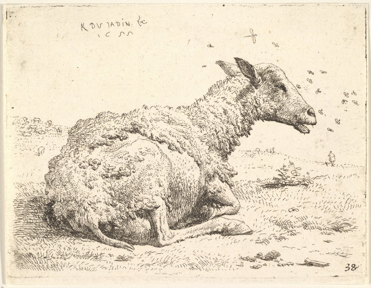 Részben lenyírt birkák hevernek a fűben, feje körül rovarok lebegnek, 1655. alkotó: Karel Du Jardin
