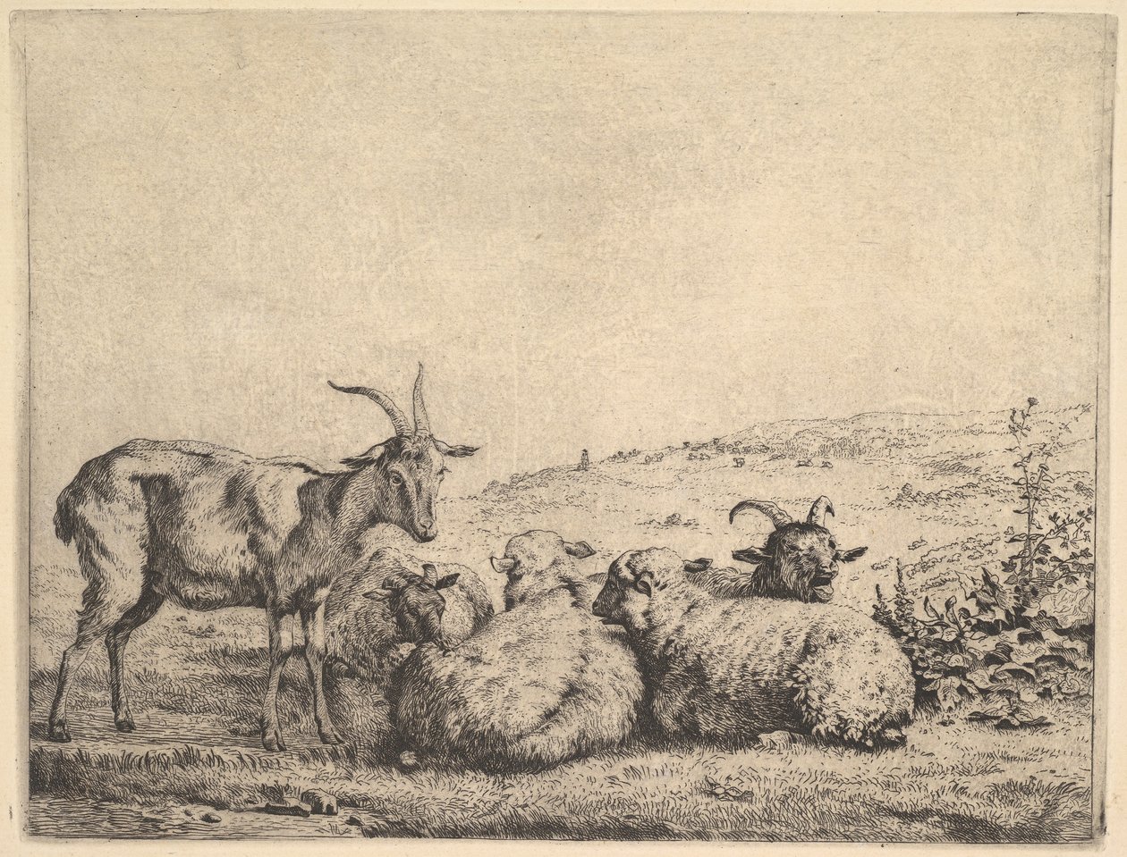 Két kecske és három bárány, 1655. alkotó: Karel Du Jardin