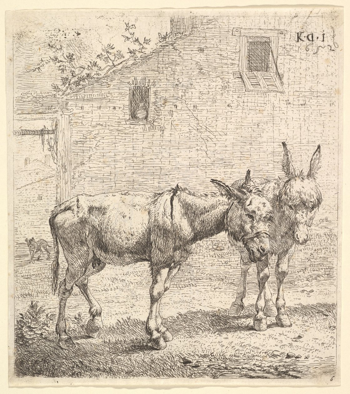 Két szamár áll egy füves udvarban, egyik szelvényben jobbra, a másik hátul..., 1652. alkotó: Karel Du Jardin