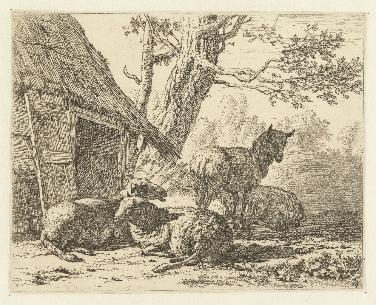 Négy bárány alkotó: Karel Du Jardin