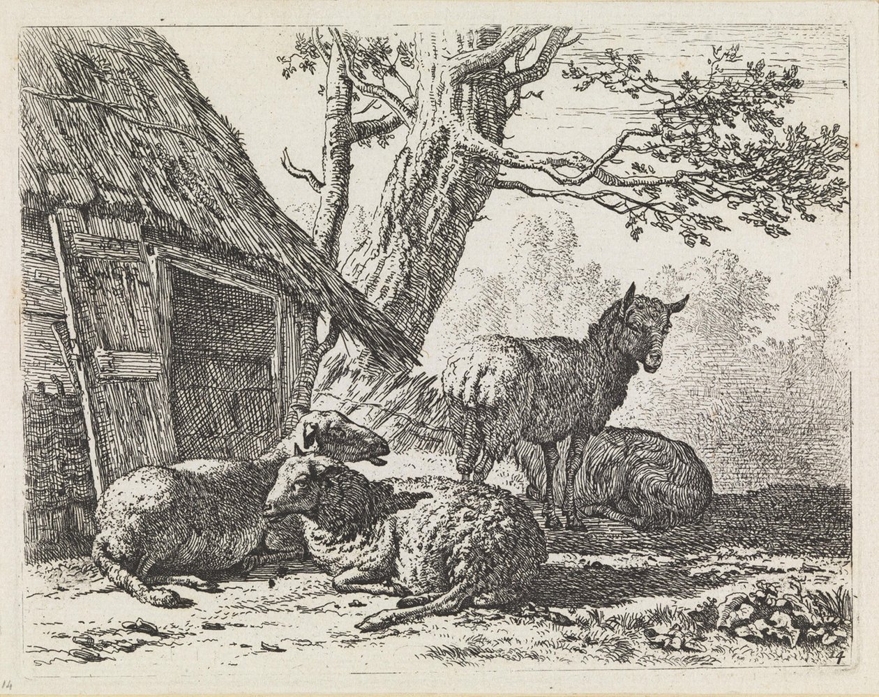 Négy juh alkotó: Karel Dujardin