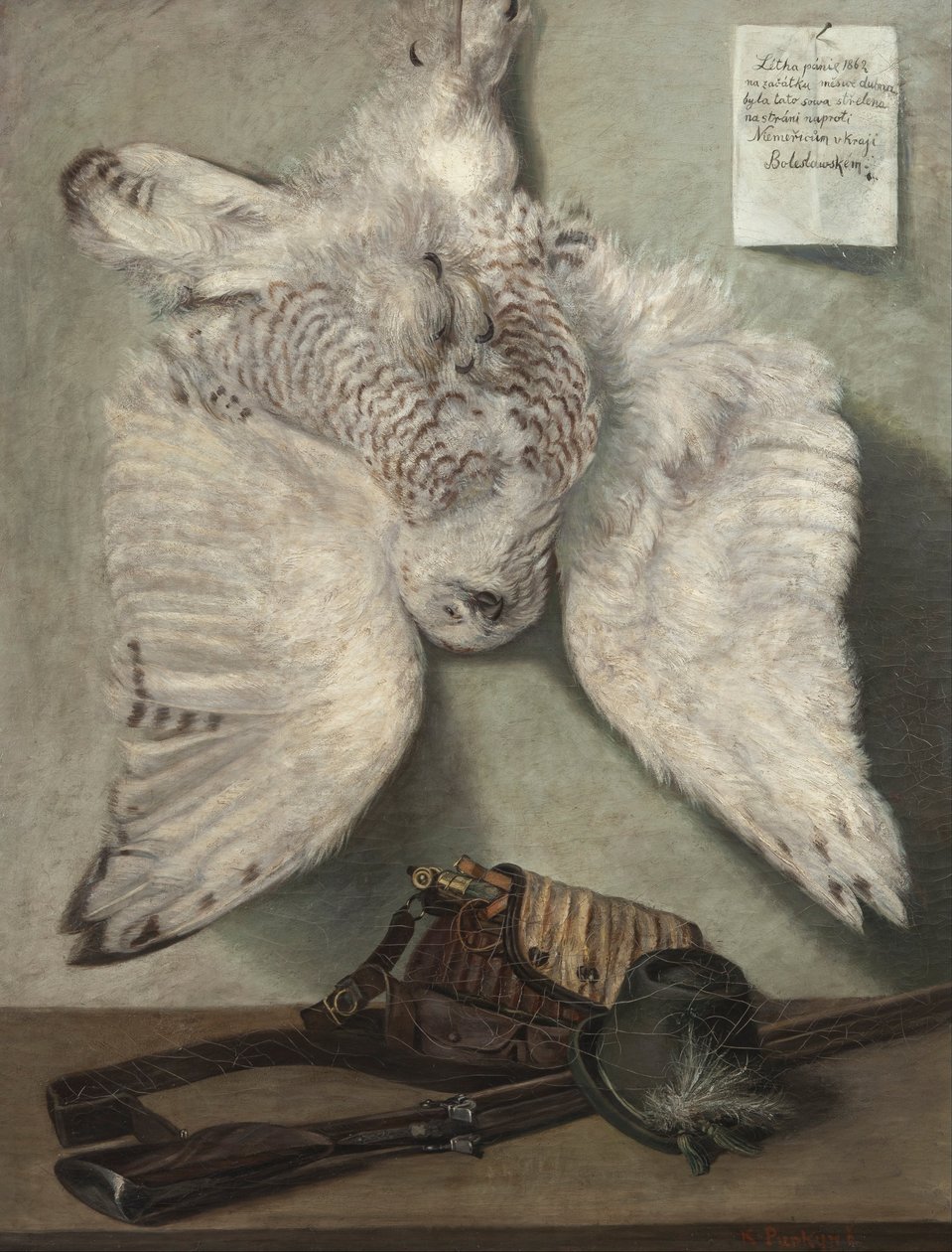 Hóbagoly alkotó: Karel Purkyne