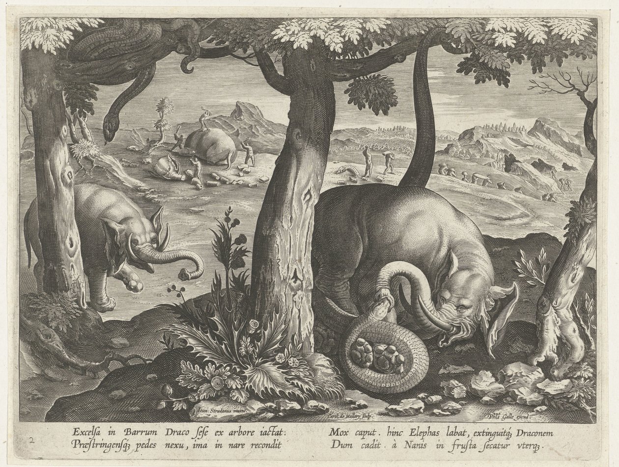 Olifant a harcban találkozott a szlenggel Jachttaferelen (sorozat címe) Vadra, tyúkra és halra vadászat a Bestiáriumban (sorozat címe) alkotó: Karel van Mallery (attributed to)