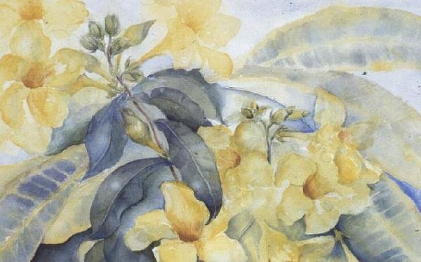 Alamanda vagy sárga harangok alkotó: Karen Armitage