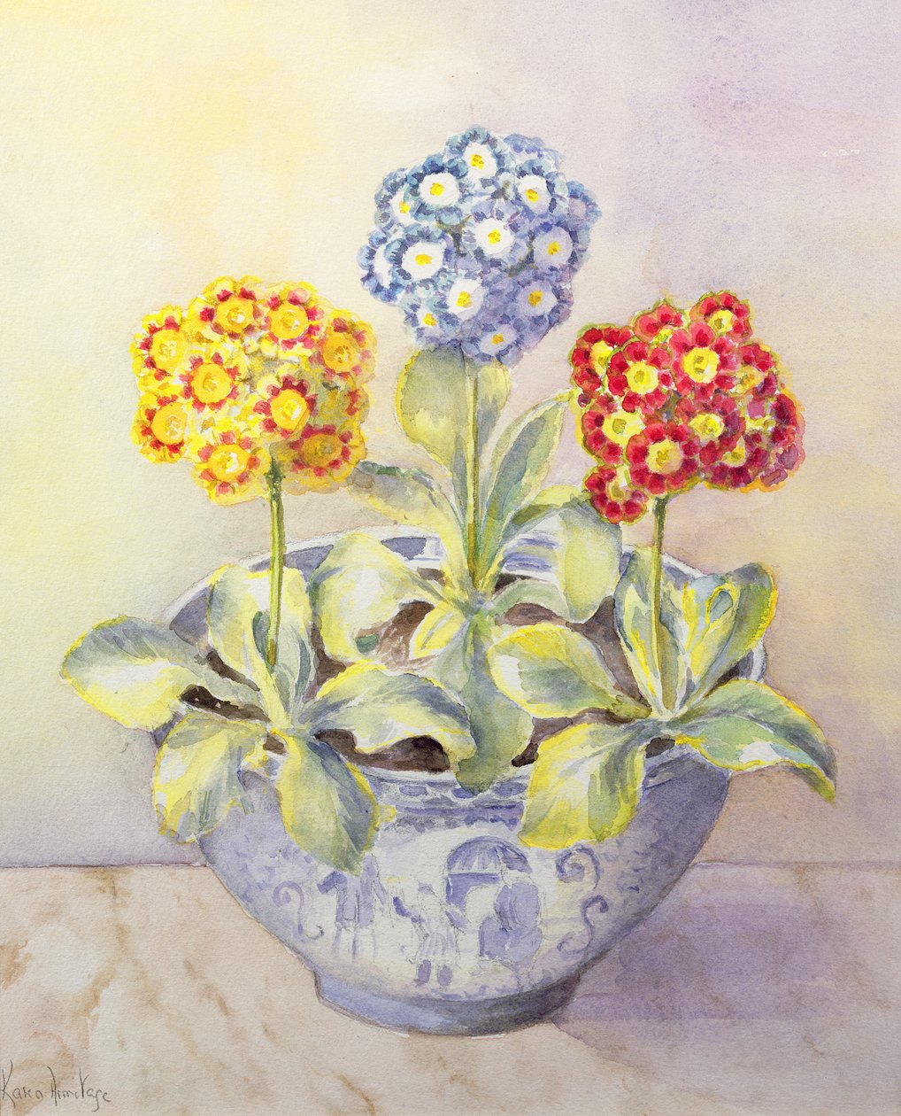 Auricula egy kínai edényben alkotó: Karen Armitage