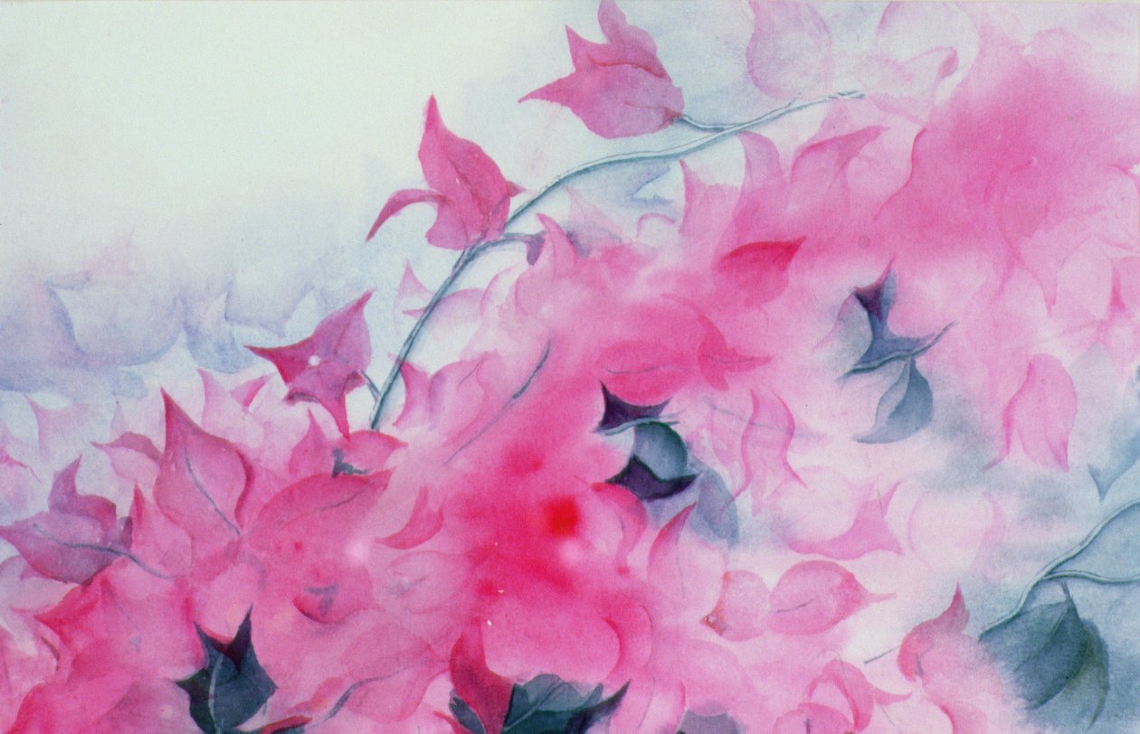 Bougainvillia alkotó: Karen Armitage