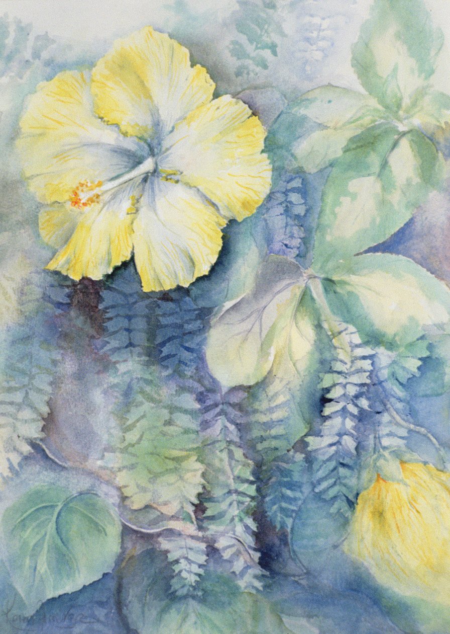 Hibiszkusz, sárga alkotó: Karen Armitage