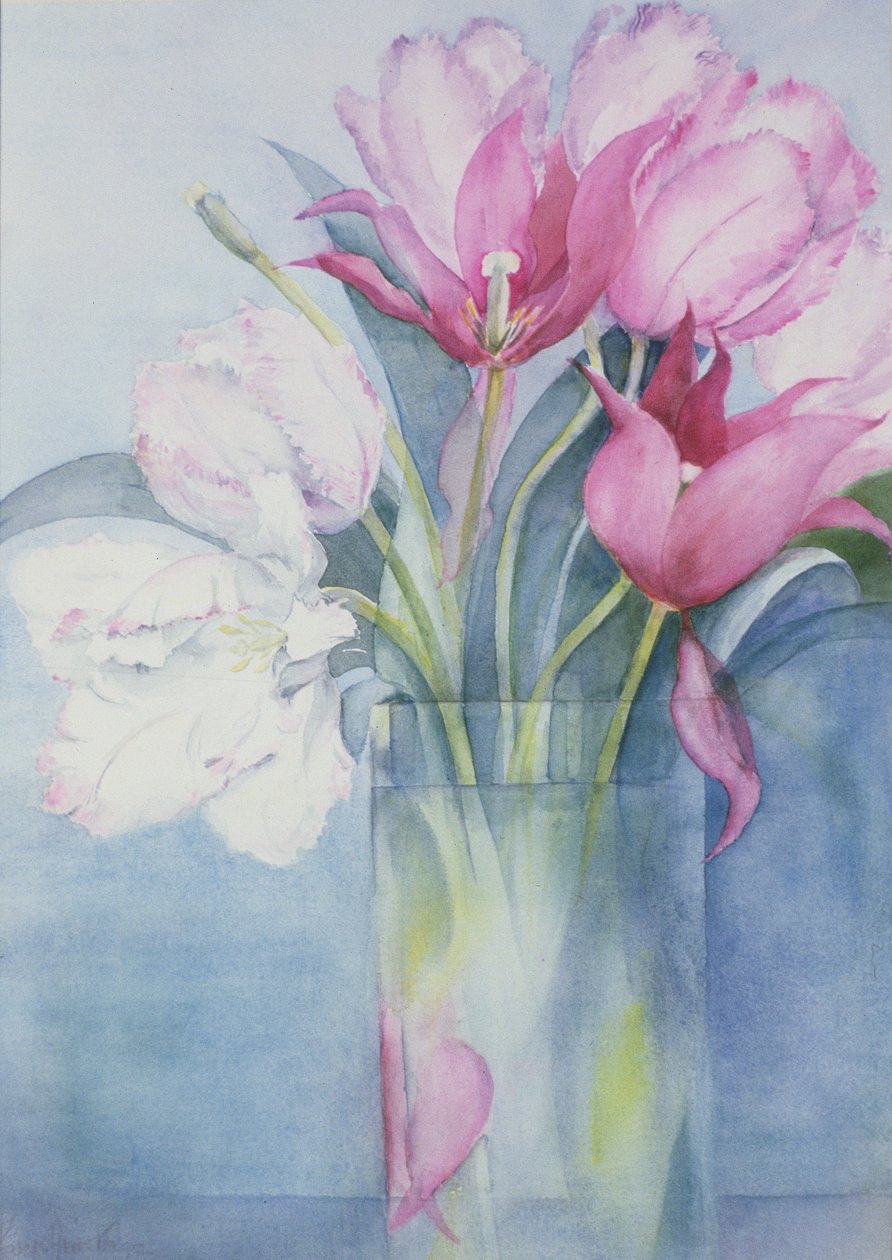 Rózsaszín papagáj tulipánok és Marlette alkotó: Karen Armitage