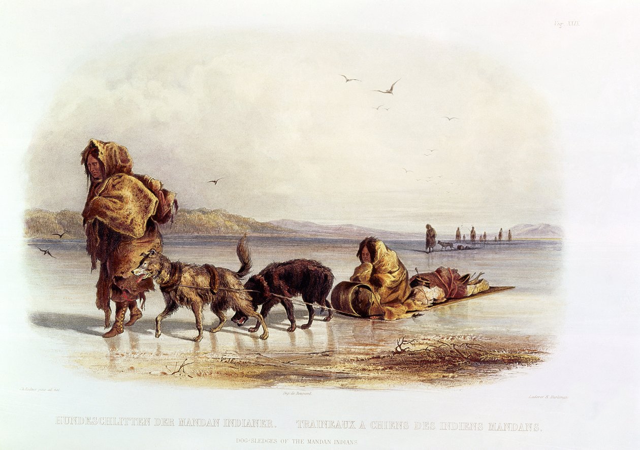 A mandan indiánok kutyaszánjai alkotó: Karl Bodmer