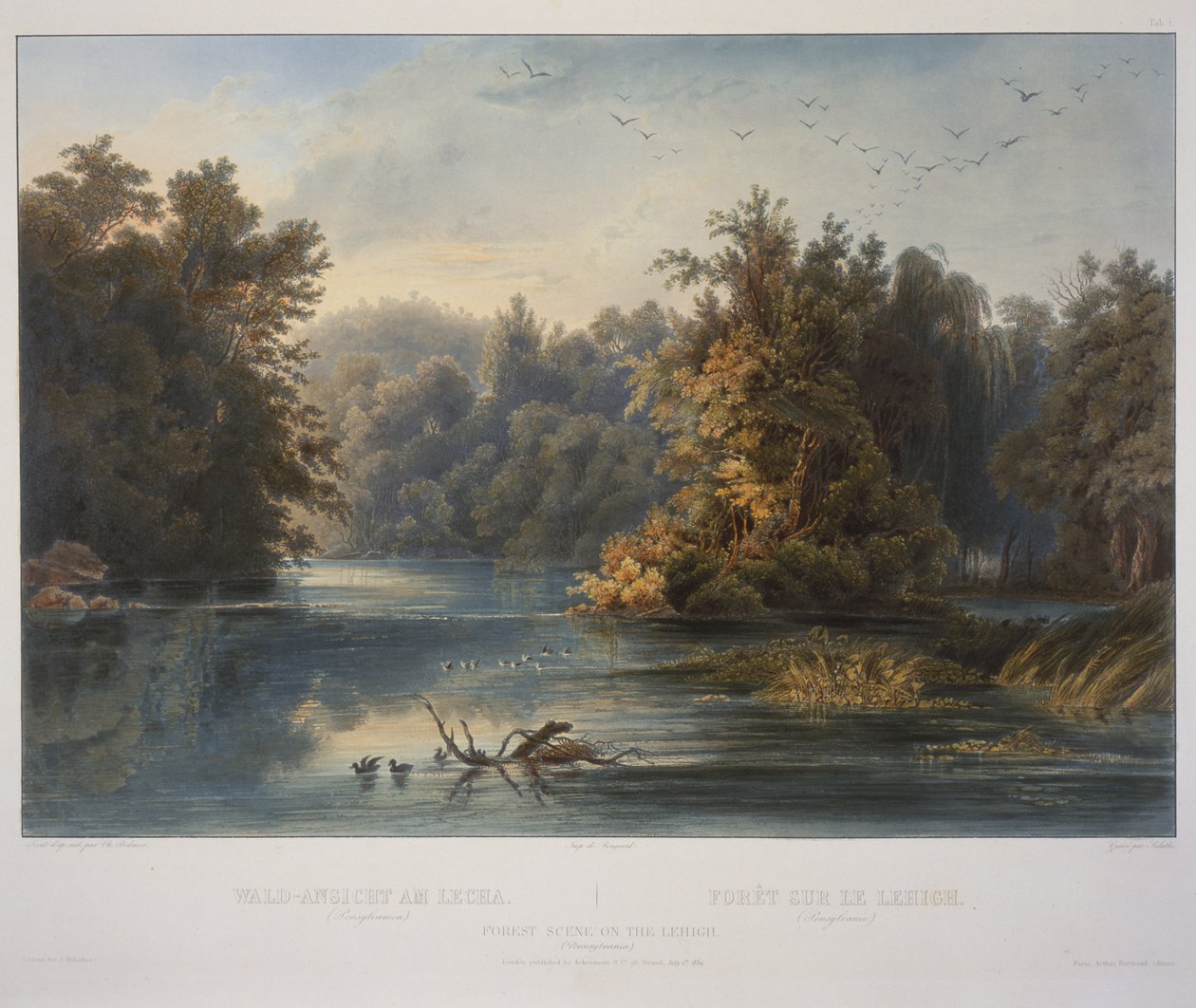Erdei jelenet a Lehigh-en alkotó: Karl Bodmer
