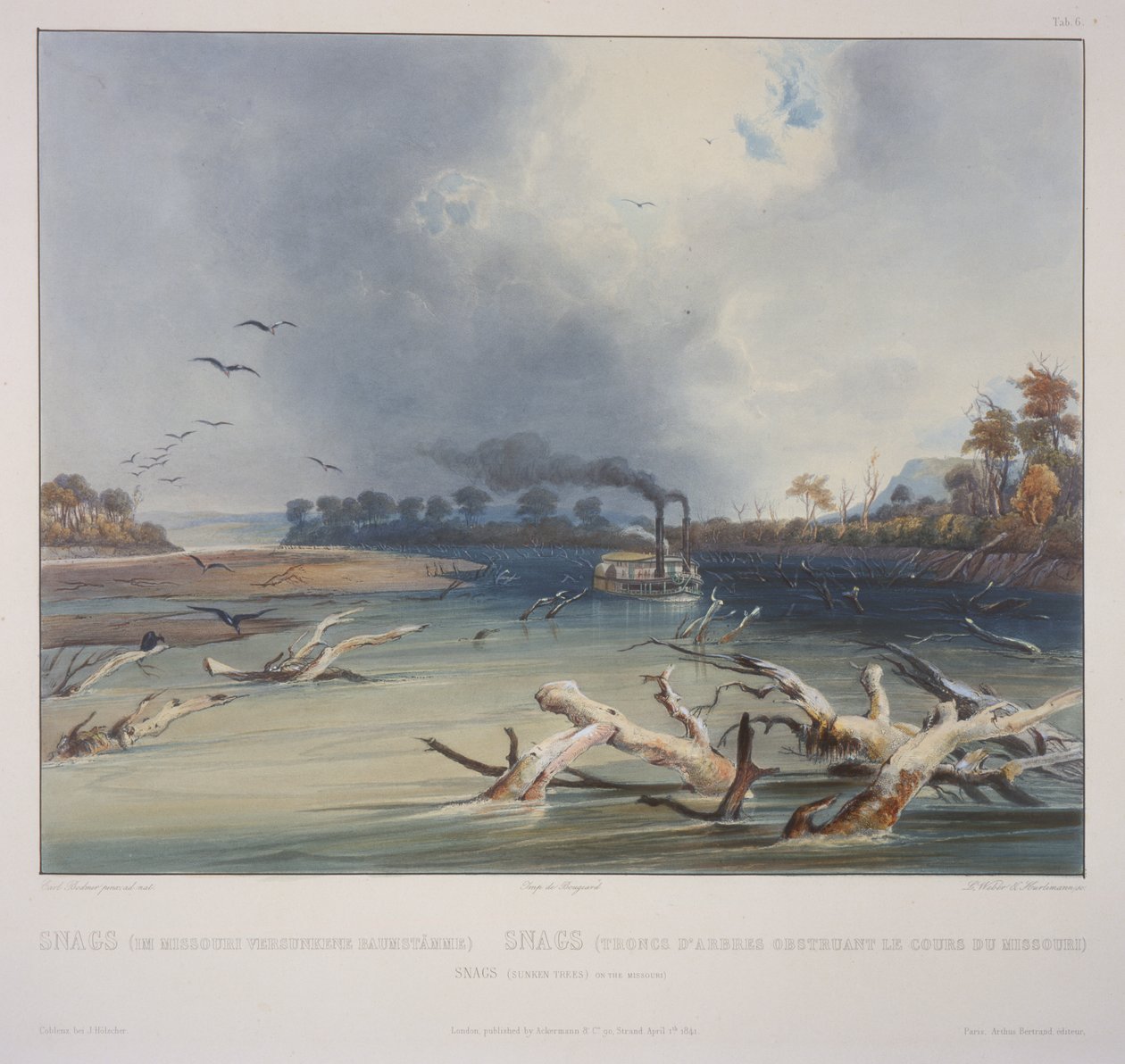 Snags (Elsüllyedt fák) a Missouri államban alkotó: Karl Bodmer