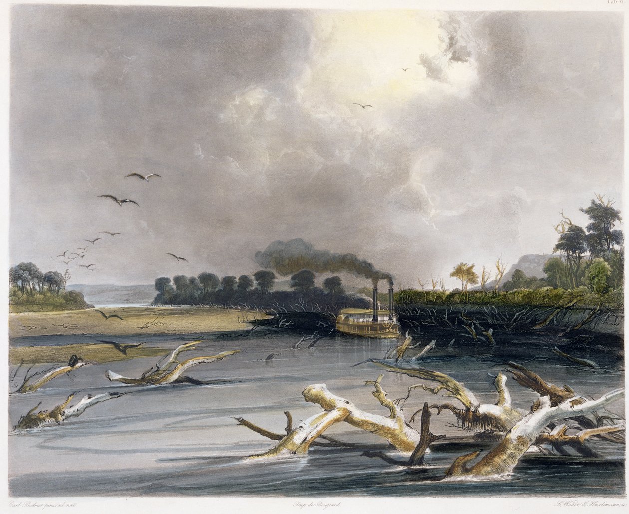 Snags (süllyedt fák) a Missouri államban, a „Travels in the Interior of North America” 2. kötetének 6. táblája, Lucas Weber és J. Hurlimann metszet, 1844 (akvatinta) alkotó: Karl Bodmer