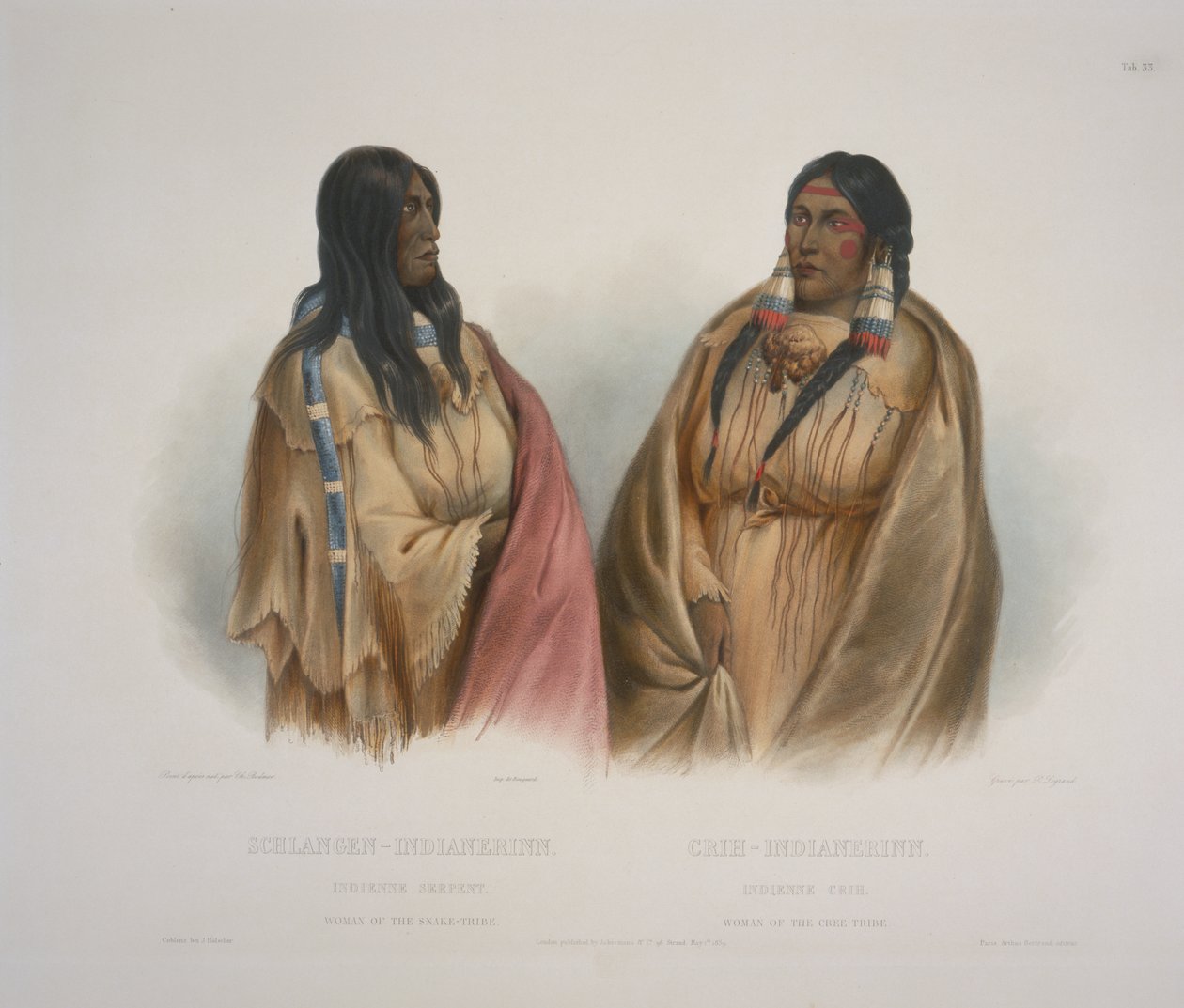 A Kígyó-törzs asszonya, a Cree-törzs asszonya alkotó: Karl Bodmer