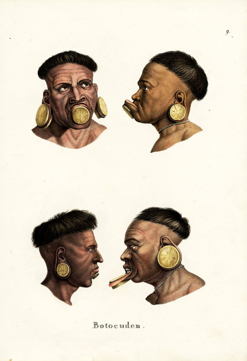 Botocudo népe, 1824 alkotó: Karl Joseph Brodtmann