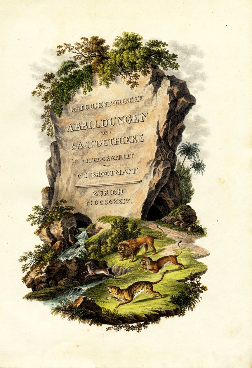 Címlap, 1824 alkotó: Karl Joseph Brodtmann