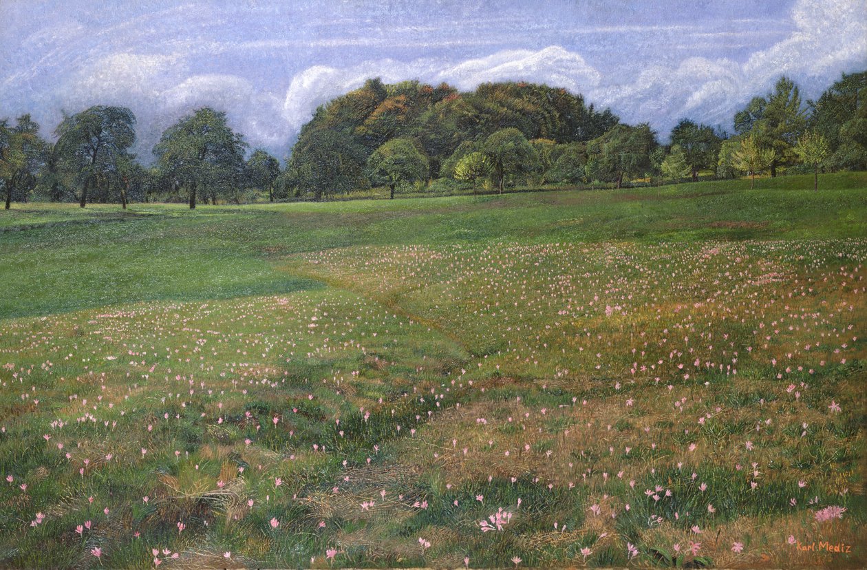 Az őszi sáfrány mezője, 1908 alkotó: Karl Mediz