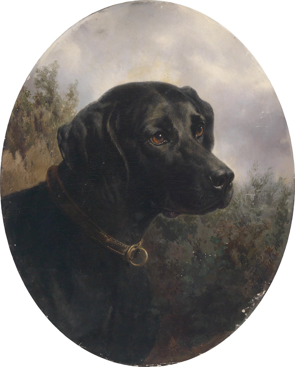Hector, mutató kutya Arthur Ritter v. Snapper alkotó: Karl Reichert