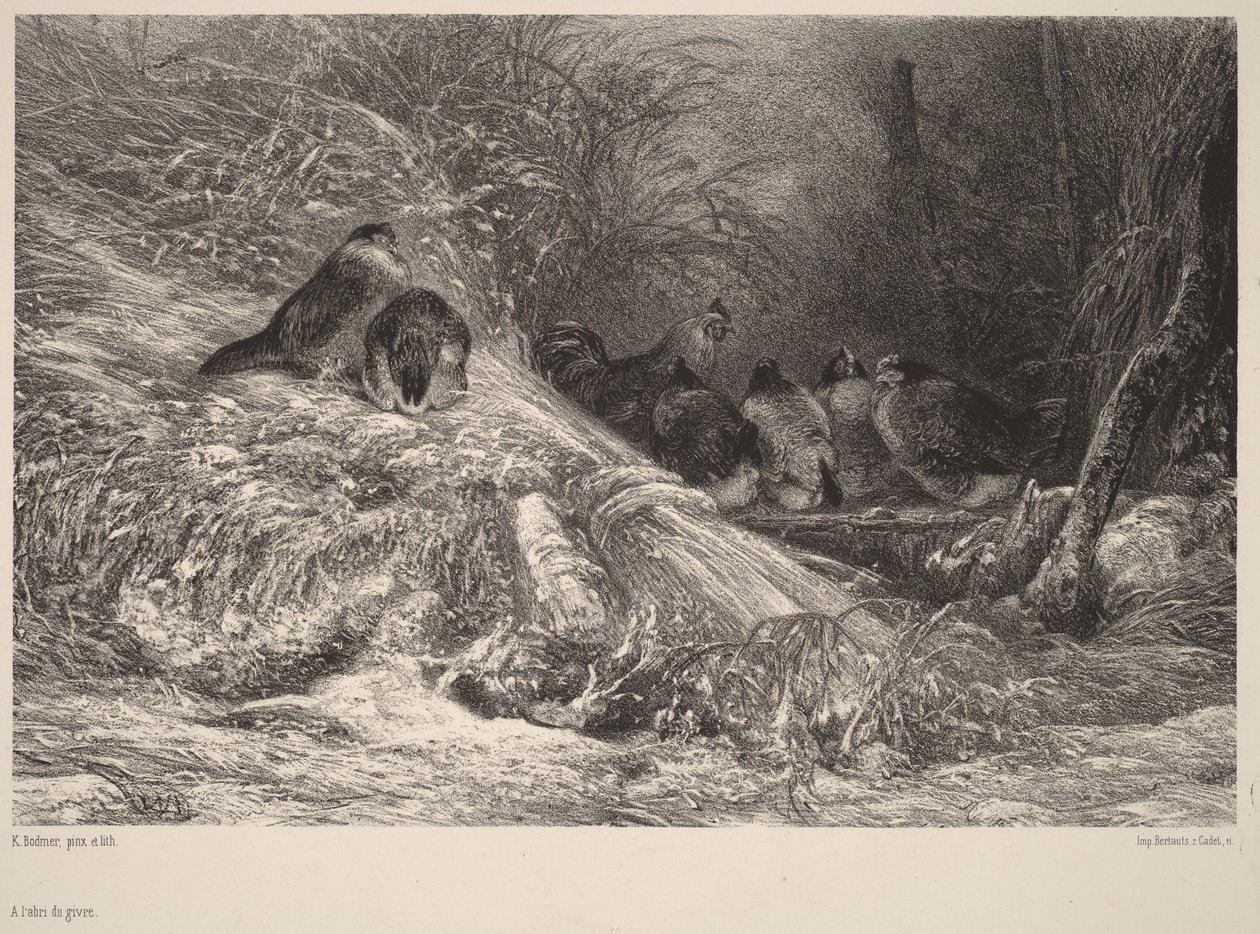 Fagymentes helyen alkotó: Karl Bodmer