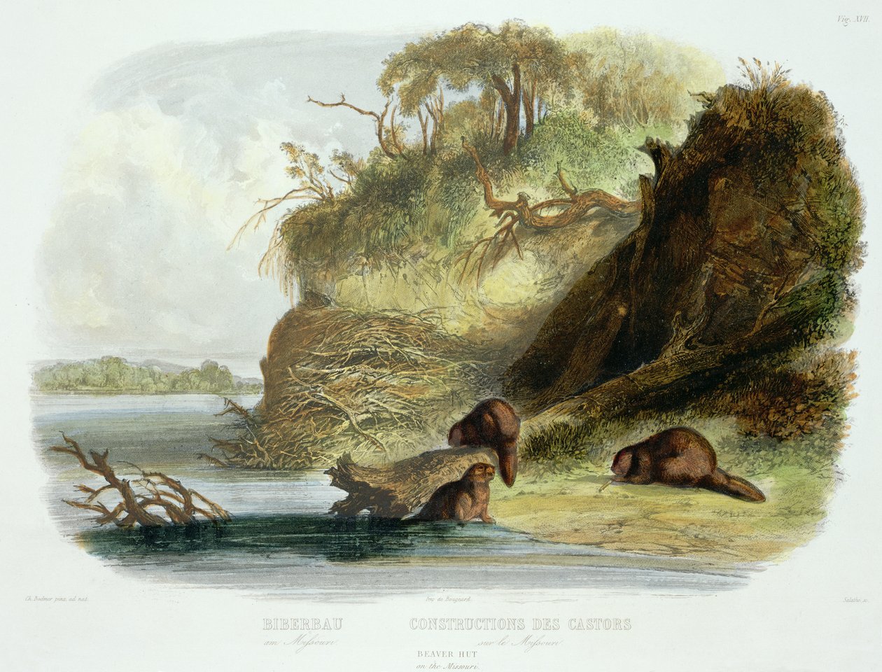 Beaver Hut on the Missouri, "Utazások Észak-Amerika belsejében" 1. kötet 17. táblája, Friedrich Salathe (1793-1858) metszete, 1843 (akvatinta) alkotó: Karl Bodmer
