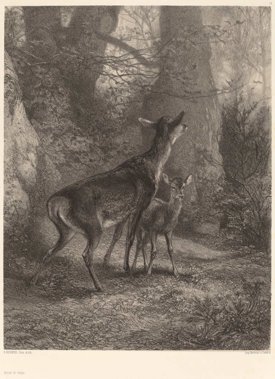 Doe és Fawn. alkotó: Karl Bodmer