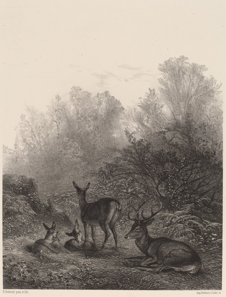 Hindek nyugalomban. alkotó: Karl Bodmer