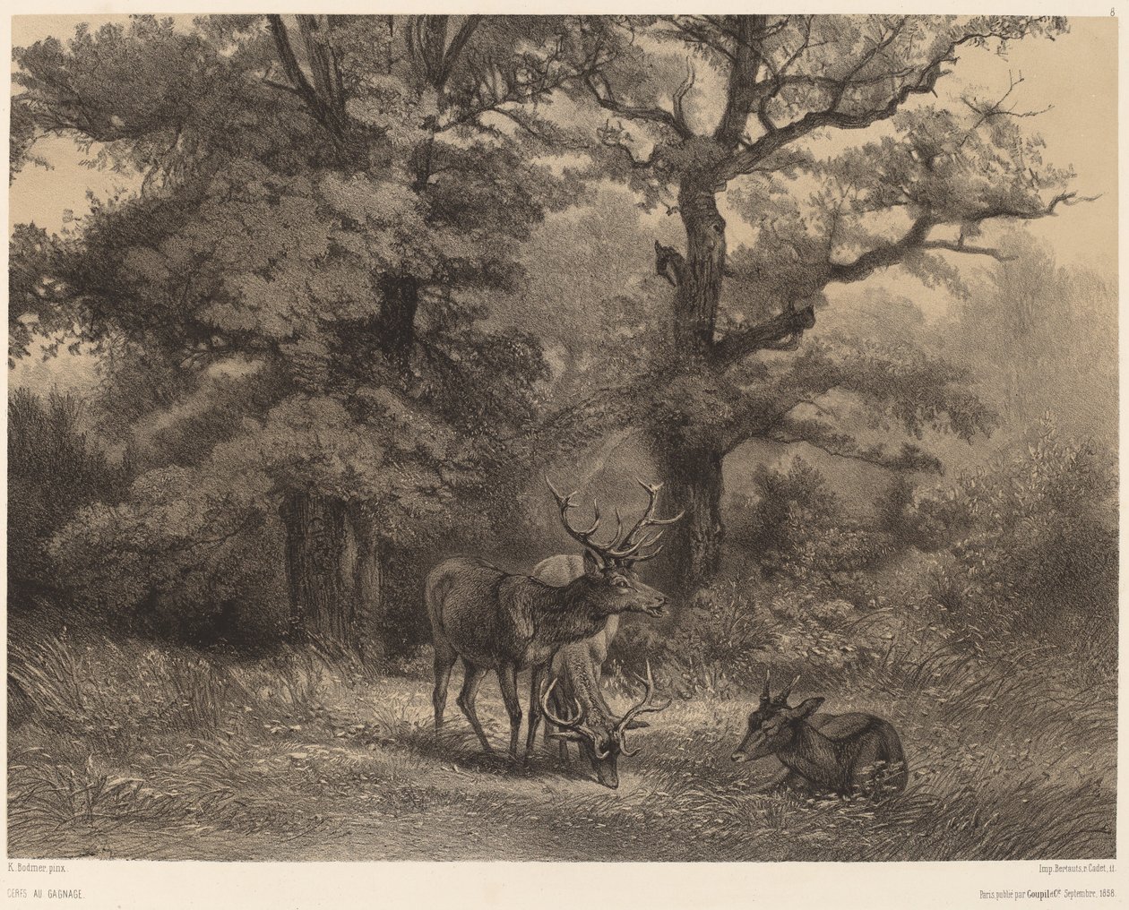 Szarvas a Gagnage-ben alkotó: Karl Bodmer