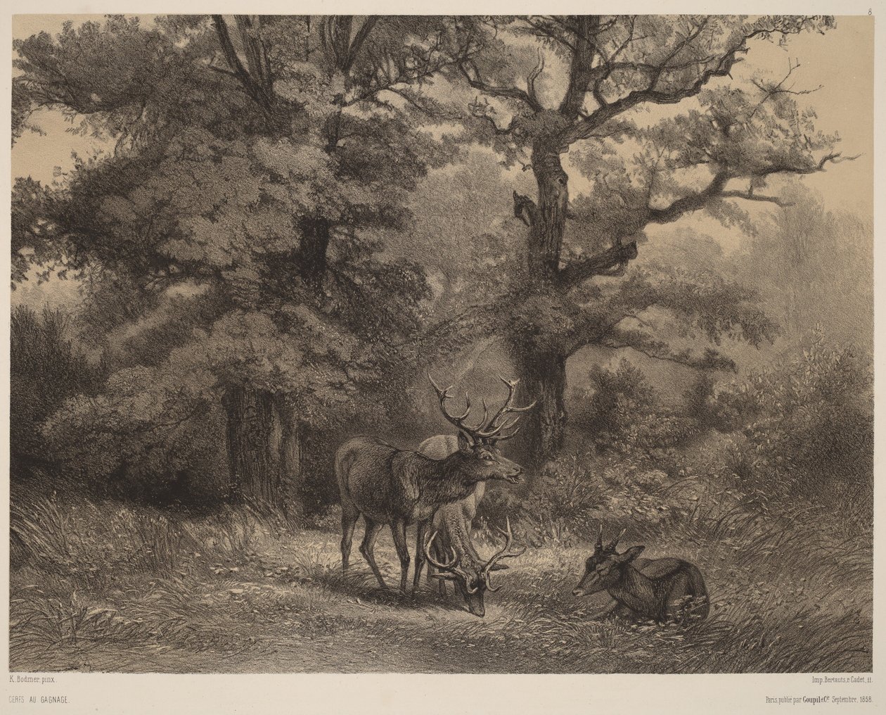 Legelésző szarvasok alkotó: Karl Bodmer