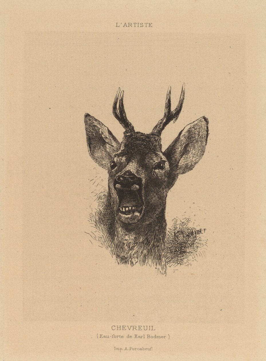 szarvas alkotó: Karl Bodmer